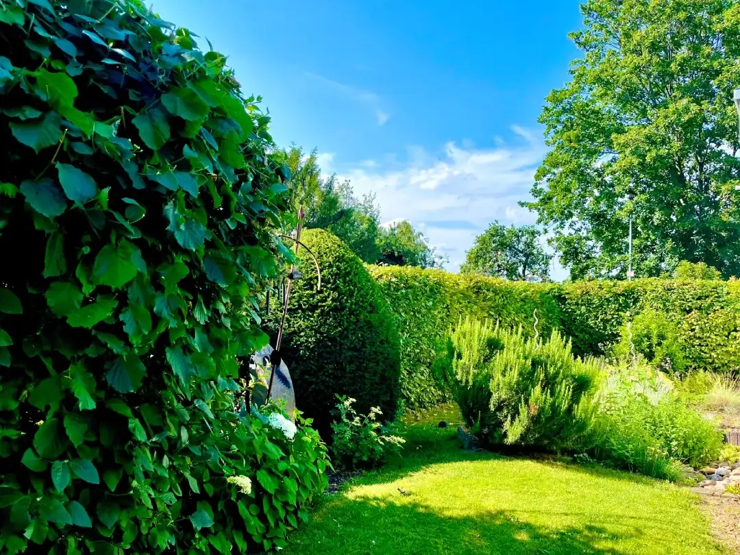 Gepflegte Rasenfläche nach professioneller Gartenpflege in Stuttgart.